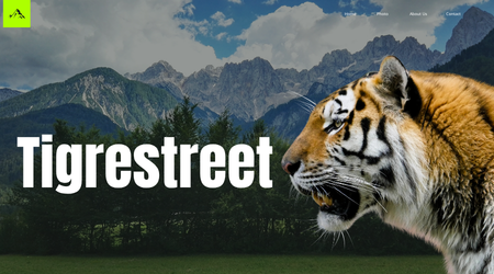 Tigre street